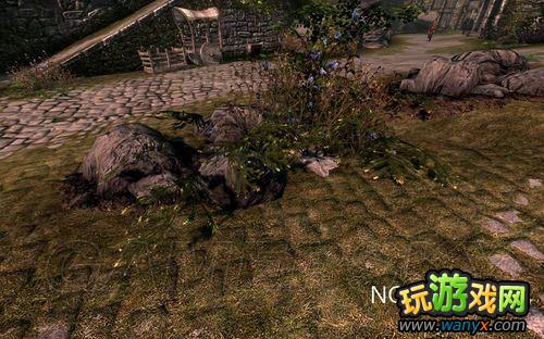 ���Ϲž���5����ʡ�SkyrimPrefs.ini���ý���
