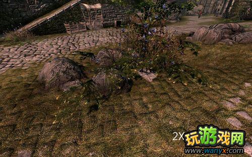 ���Ϲž���5����ʡ�SkyrimPrefs.ini���ý���