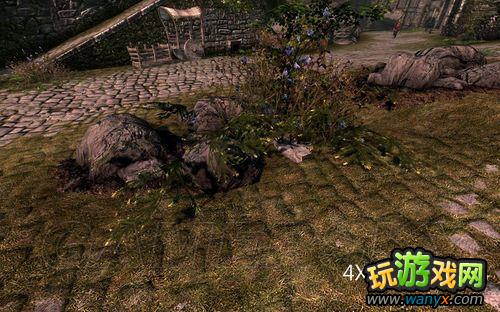 ���Ϲž���5����ʡ�SkyrimPrefs.ini���ý���