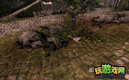 ���Ϲž���5����ʡ�SkyrimPrefs.ini���ý���