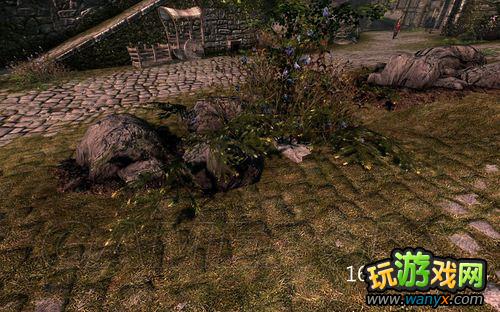 ���Ϲž���5����ʡ�SkyrimPrefs.ini���ý���