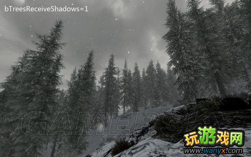 ���Ϲž���5����ʡ�SkyrimPrefs.ini���ý���