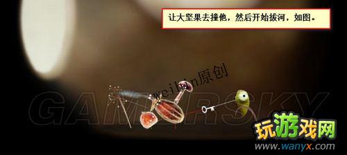 ��ֲ�ﾫ�顷��ϸͼ�Ĺ���