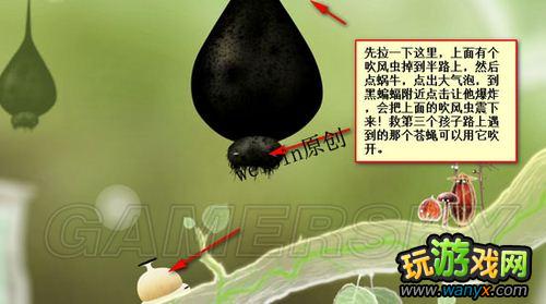 ��ֲ�ﾫ�顷��ϸͼ�Ĺ���