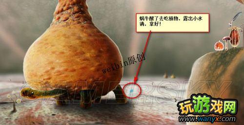 ��ֲ�ﾫ�顷��ϸͼ�Ĺ���