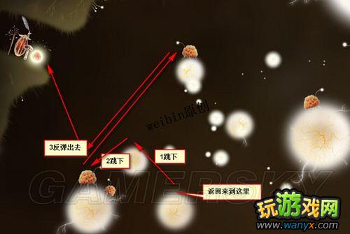 ��ֲ�ﾫ�顷��ϸͼ�Ĺ���