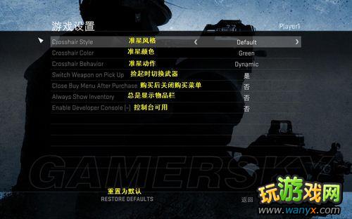 CS��GO PC����Ϸ�˵������ͼ