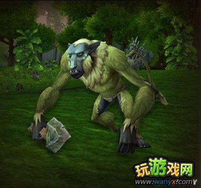 ��ħ�����磺��è��֮�ա�5.0�������������ͽ���