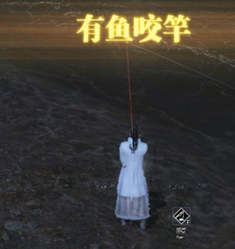 �������µ������泡������ô��_�������µ����������泡�������