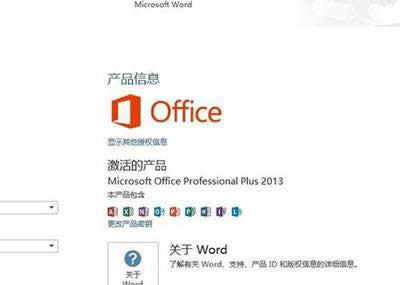 office2013жأ   