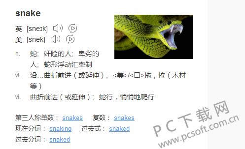 snakeʲô˼