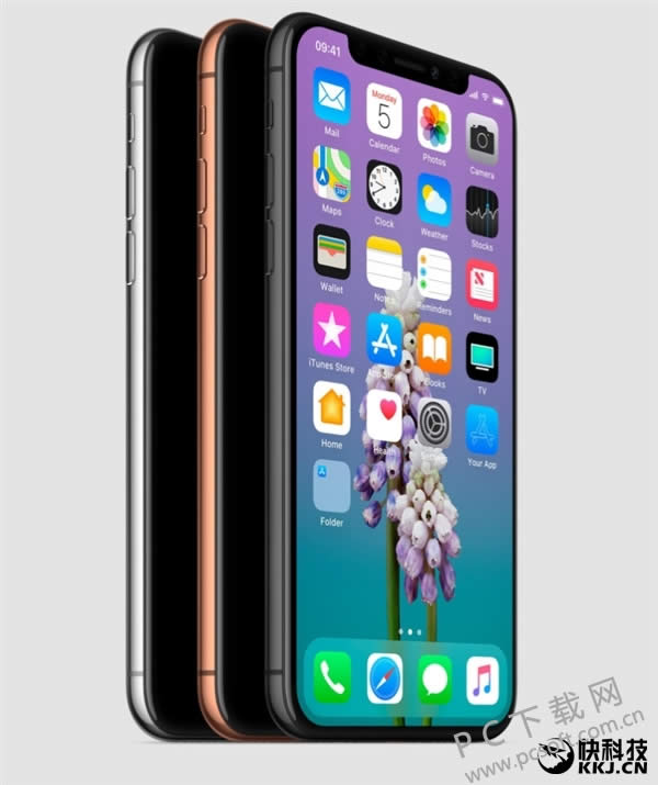 iPhone Xױճ¯ ɫȷ 13賿һڴɣ