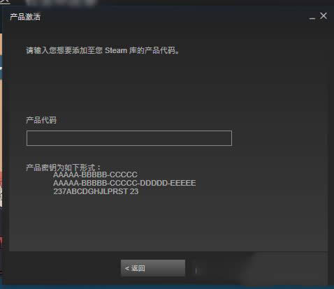 steam keyôã