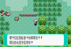 pokemmo手游丰源地区一二周目图文攻略_pokemmo手游丰源地区一二周目怎么过