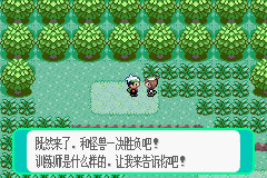 pokemmo手游丰源地区一二周目图文攻略_pokemmo手游丰源地区一二周目怎么过