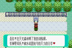 pokemmo手游丰源地区一二周目图文攻略_pokemmo手游丰源地区一二周目怎么过