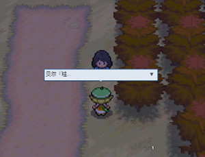 pokemmo����һ��Ŀͼ������_pokemmo����һ��Ŀ��ô��