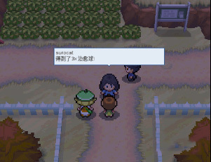 pokemmo����һ��Ŀͼ������_pokemmo����һ��Ŀ��ô��