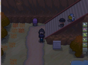 pokemmo����һ��Ŀͼ������_pokemmo����һ��Ŀ��ô��