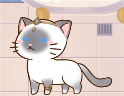 猫宅97月月猫咪怎么解锁_猫宅97月月猫咪解锁方法