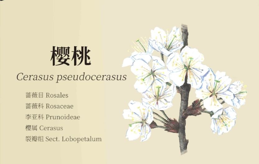 老农种树八种植物笔记详解_老农种树八种植物属性有哪些