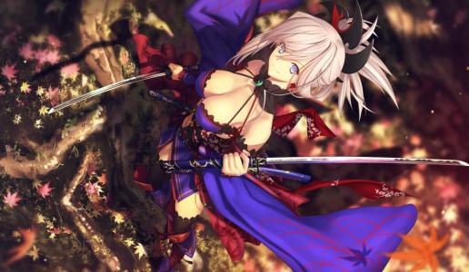 命运冠位指定2020年3月13日活动维护公告_FGO2020年3月13日更新了啥