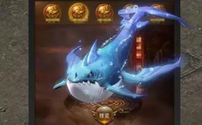 һ��������������ô��_һ����������ϵͳ����