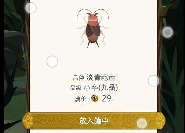 �Ŵ���������׬Ǯ����_�Ŵ�������ο���׬Ǯ