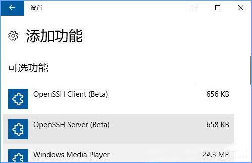 Win10ϵͳõOpenSSHôװ